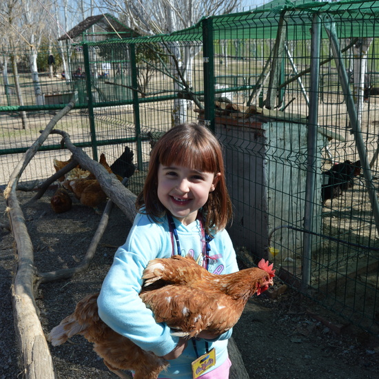 GRANJA ESCUELA ALBITANA 2018 25