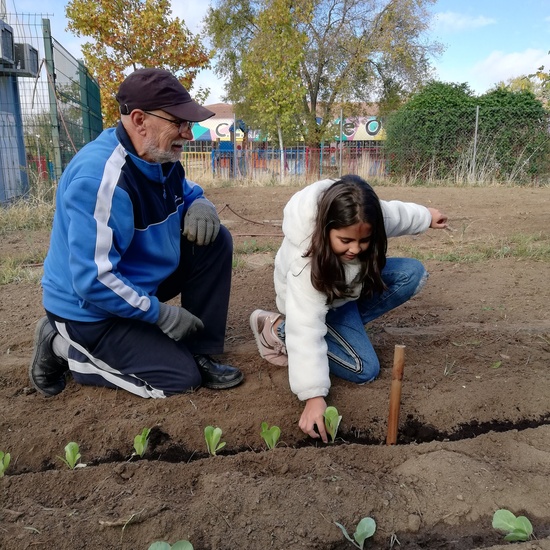 Huerto escolar 2019/20 26