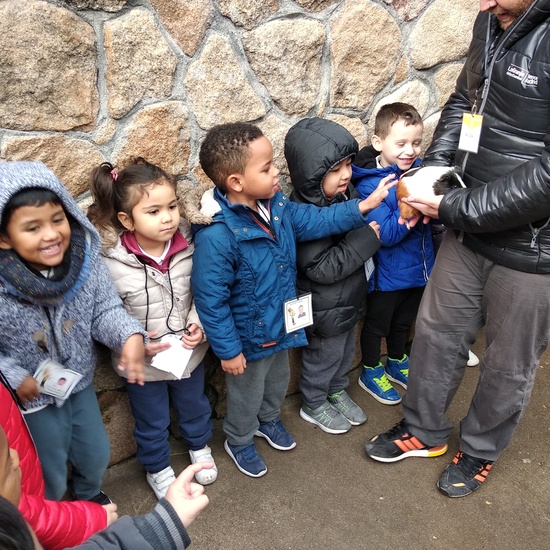 Granja de los Cuentos Infantiles I 5