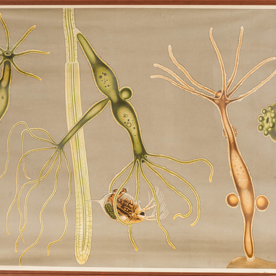 IES_SANISIDRO_LAMINAS_002