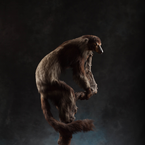 IES_SANISIDRO_MUSEO_Zoolgía_106