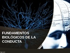 PSICOLOGIA BACHILLERATO TEMA 2