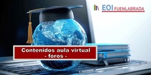 Aula virtual - contenidos - foros