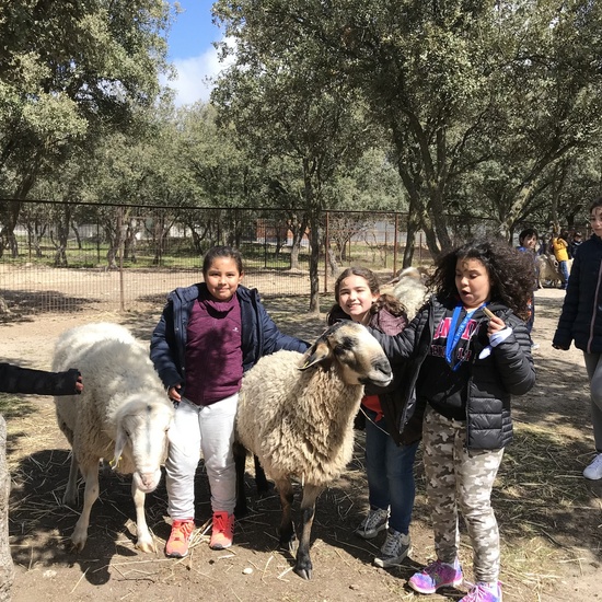 Granja Escuela “El Álamo” 3º y 4º EP_1 34
