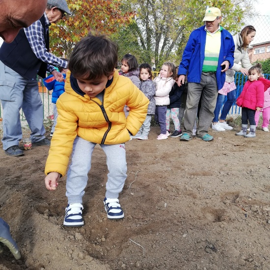 Huerto escolar 2019/20 31