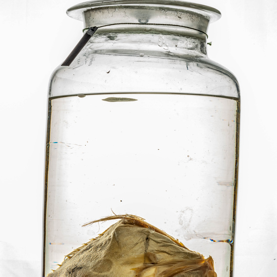 IES_CARDENALCISNEROS_CIENCIASNATURALES_376