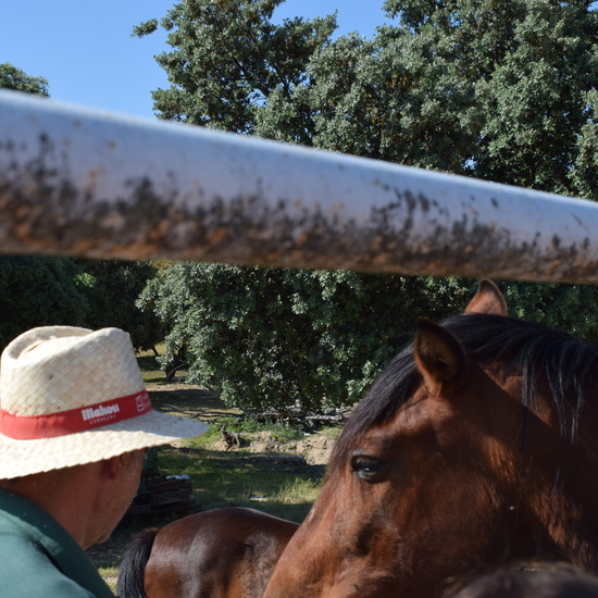 Salida en bici 4º de Primaria 6