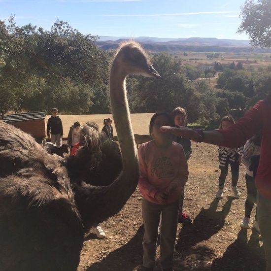 Mohernando 2017_3 48