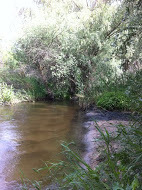 Inspeccion rio guadarrama 4
