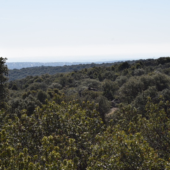 Sendero Vivo 3º Primaria 2018 9