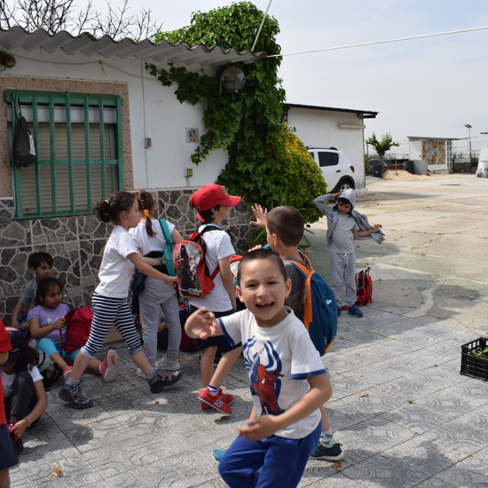Siembra Huerta Balta 1 5 años 2018 6