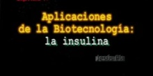 Capítulo 4º: Aplicaciones de la biotecnología: La insulina
