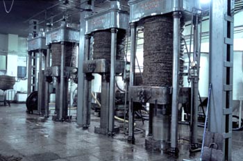 Molino de aceite - Valverde de Leganés, Cáceres