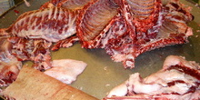 Costillar del cerdo