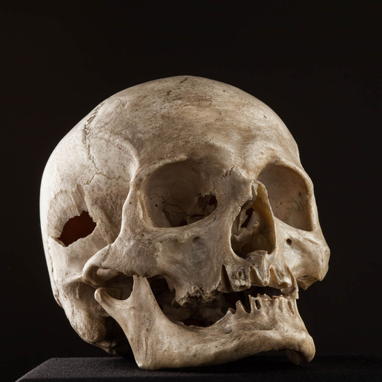 IES_ISABELLACATOLICA_BIOLOGIA_577