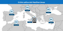 Crisis salina del Mediterráneo