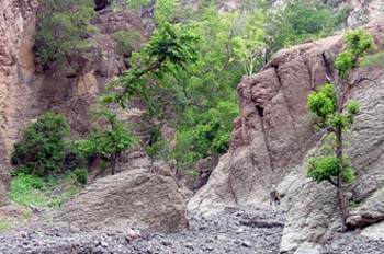 Paisaje rocoso, Rep. de Djibouti, áfrica