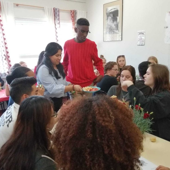 Visita de alumnos daneses al instituto 1
