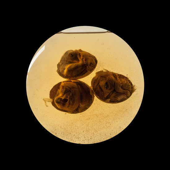 IES_CARDENALCISNEROS_CIENCIASNATURALES_327