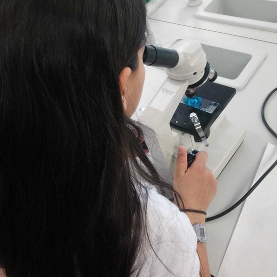 PW 6º IES PARQUE LISBOA 2019-2020 30