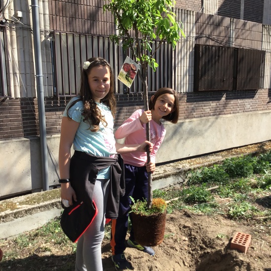 El año hortelano de 4º B 32