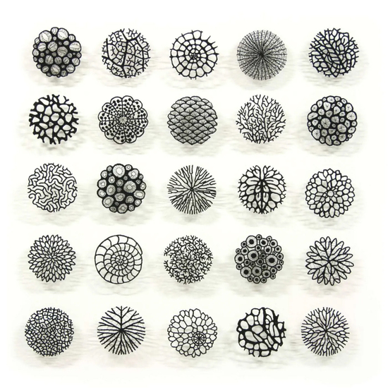 Ilustración texturas 