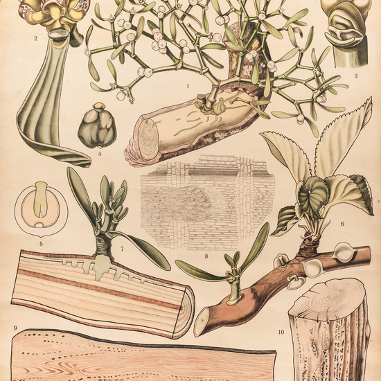 IES_SANISIDRO_LAMINAS_001