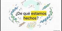 Vídeo resumen "Proteínas, enzimas y vitaminas" Biología 2º Bachillerato