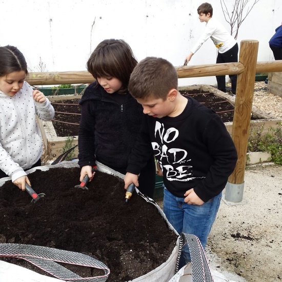 TRABAJANDO EN EL HUERTO 2
