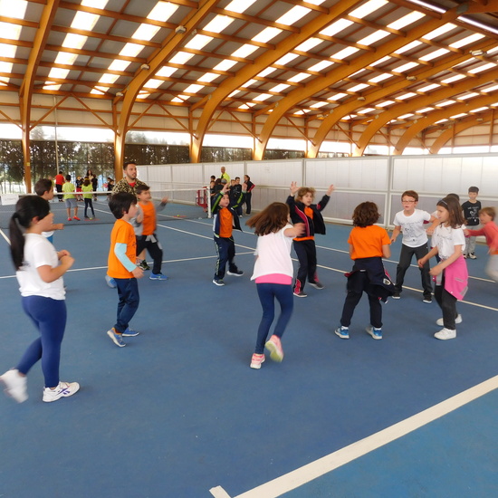 olimpiadas 3º primaria 12