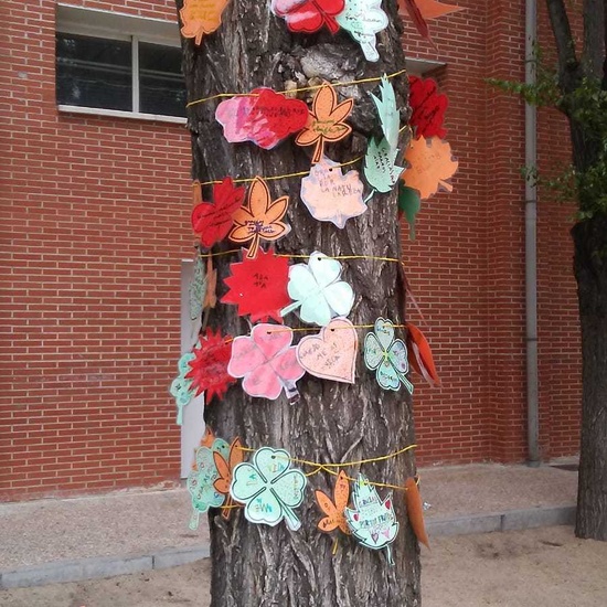 Actividades singulares 2018 1