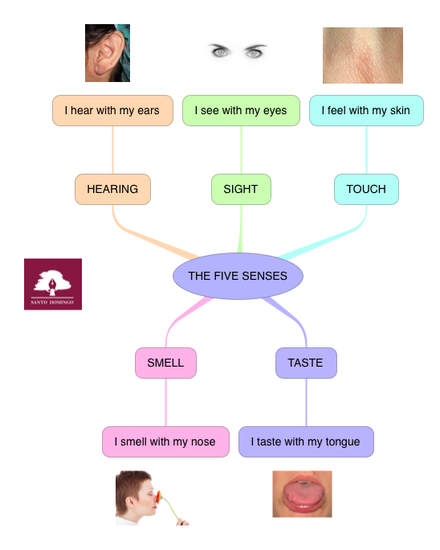 NS_THE FIVE SENSES_3