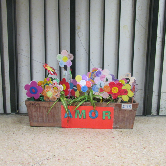 FOTOS MACETEROS DE LA PAZ SÉNECA 44