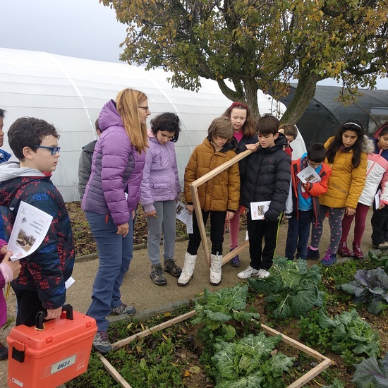 Albergue 5º- 3º día (mañana) 2