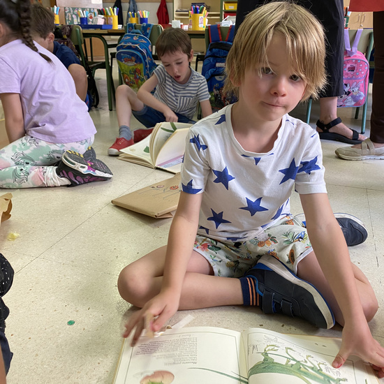 Regalo AFA - Infantil 5 Años 36