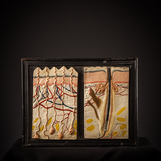 IES_SANISIDRO_BIOLOGIA_261