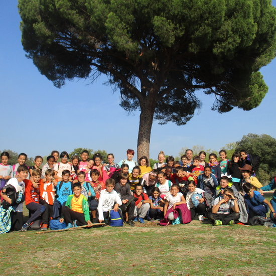 EN MÚLTIPLE 6º - 2019 (2ª Parte) 30