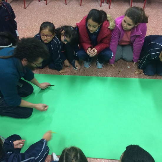 Proyecto: El cómic 5