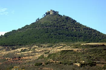 Vista de monte