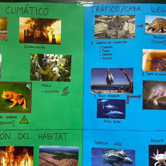 Proyecto animales en extinción 9