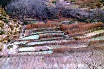 Cultivos cubiertos de escarcha, Aroumd, Marruecos