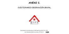 Anexo I. Cuestionario Grupal FE en EP