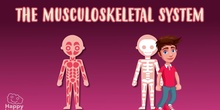 The musculoskeletal system