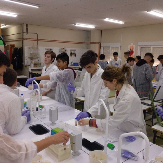 Proyecto SWI 2019. Colaboración UCM 1