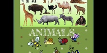 PRIMARIA 1º- NATURAL SCIENCE - ANIMALS - FORMACION