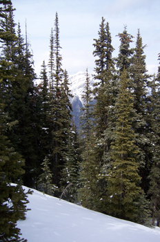 Monte Sulphur, Parque Nacional Banff