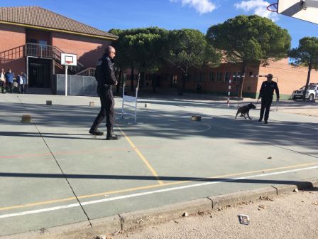2017_11_13_UNIDAD CANINA MUNICIPAL_CEIP FDLR_LAS ROZAS_2017 4