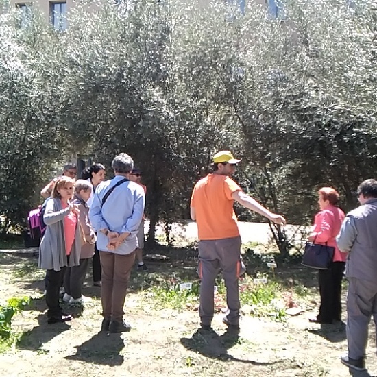 Jornadas Ciencia 2019_Visita Huerto (1)