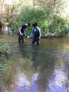 Inspeccion rio guadarrama 5