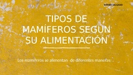 TIPOS DE MAMÍFEROS